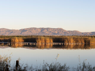 Reflejos de flamencos, cañas y montañas en el agua al amanecer.