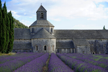 Zisterzienserabtei Abbaye Notre-Dame de Sénanque, mit Lavendelfeld, Vaucluse, Provence, Provence-Alpes-Côte d’Azur, Frankreich, Europa - obrazy, fototapety, plakaty