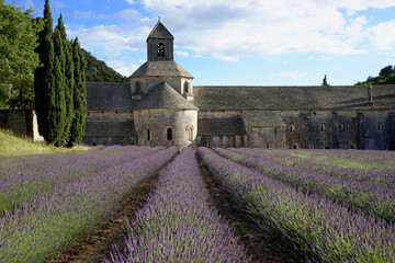 Zisterzienserabtei Abbaye Notre-Dame de Sénanque, mit Lavendelfeld, Vaucluse, Provence, Provence-Alpes-Côte d’Azur, Frankreich, Europa