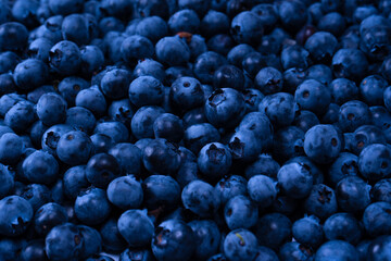 Fresh blueberry background. Texture blueberry berries close up.