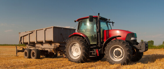 Tractor with a trailer on agricultural field during wheat summer harvest