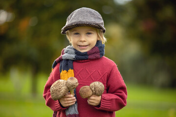 Cute blond toddler child, boy, holding mushroomsin the park, picked in the forest