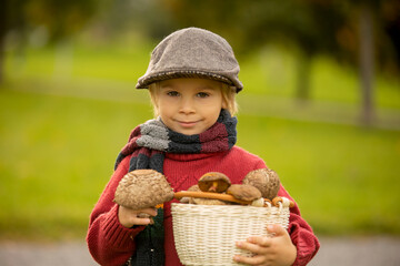 Cute blond toddler child, boy, holding mushroomsin the park, picked in the forest