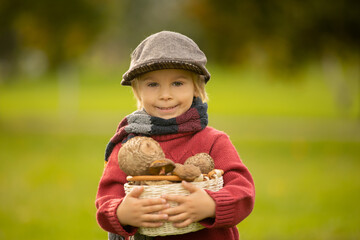 Cute blond toddler child, boy, holding mushroomsin the park, picked in the forest