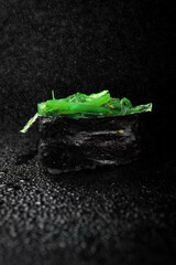 Sushi roll with rice, green chuka seaweed on black background with reflection and water splashes