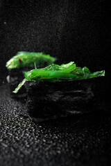 Sushi roll with rice, green chuka seaweed on black background with reflection and water splashes