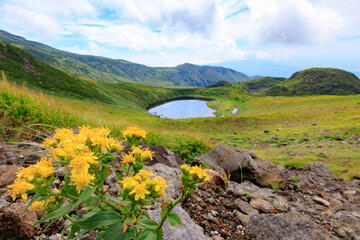 Fototapeta na wymiar 鳥海山、御浜から見る鳥海湖と花
