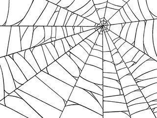 Obraz premium Spiderwebs isolate on png or transparent background, happy halloween banner, template for poster, brochure, advertising, promotion,sale marketing vector illustration