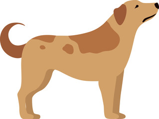 Dog standing. Cartoon pet. Domestic animal character