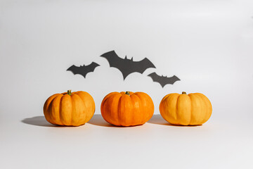 Fresh ripe orange pumpkin on white background. Space with bats Halloween concept