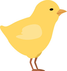 Cute chick. Little bird character. Funny animal