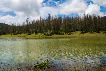 Beautiful Ooty lake with its scenic beauty against blue sky forming a beautiful background