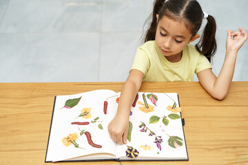 Child with dried flowers making herbarium on dining wood table in home. Dried pressed flowers view...