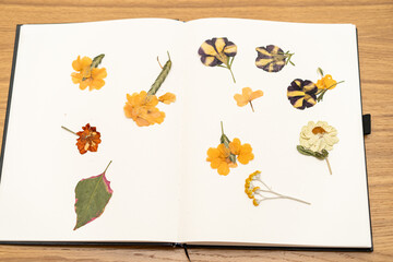 Old book with dry flower collection. Herbarium book to keep dried and pressed flowers.