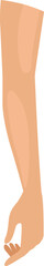 Female hand. Human body part. Woman anatomy