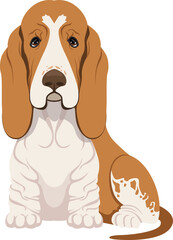 Basset hound sitting. Funny dog breed icon