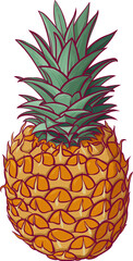 Colorful juicy pineapple. Tropical fresh fruit icon