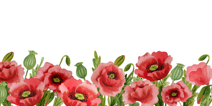 Watercolor red poppies handdrawn frame