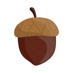 acorn autumn icon