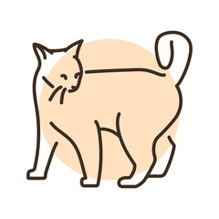 Playful cat standing color line icon. Pictogram for web page