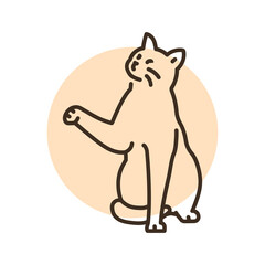 Sitting cat with paw color line icon. Pictogram for web page