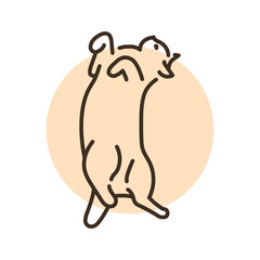 Lying cat on back color line icon. Pictogram for web page