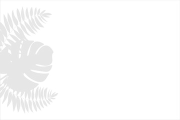 Tropical leaves shadow effect on white background.