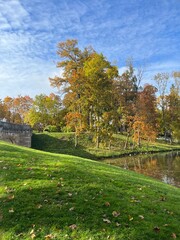 Obraz premium autumn trees reflection on the surface of the pond in the park, golden fall