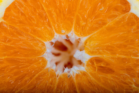 close up of orange slice