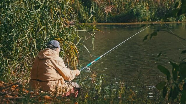 The fisherman catches fish on the river bank. Back view of a lone elderly fisherman sitting with a fishing rod on a sunny autumn day. Calm and peaceful picture. Lifestyle, leisure activity on nature