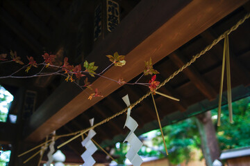 Naklejka premium 紙垂のある手水舎と氷川神社の境内