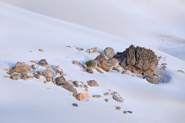 Stone oasis in coral sand desert dunes of Socotra island, Yemen