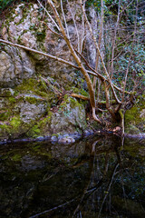 Nature et rivière 