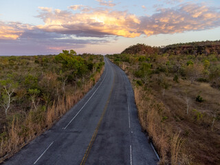 wonderful brazilian savannah with low trees and afternoon sun lighting