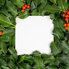 Creative layout made of common holly leaves and fresh fruit berries in autumn and paper card. Flat...