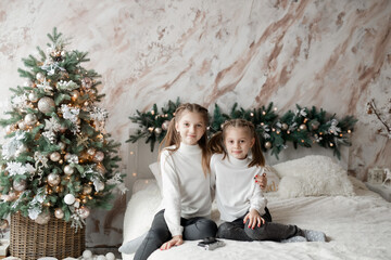 Two sisters on the background of Christmas decorations
