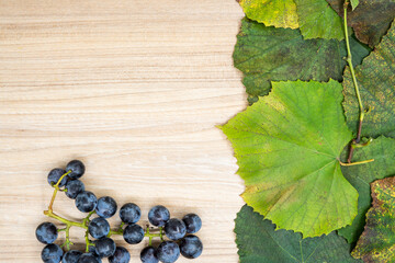 Creative layout made of grape leaves and fresh fruit  in autumn on the table with neutral space. Flat lay. Autumn nature leaves concept. Great for presentation slide.	