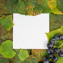 Creative layout made of grape leaves and fresh fruit in autumn and paper card. Flat lay. Autumn nature leaves concept.	