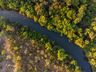 beautiful and narrow river in the low vegetation forest with the rising sun