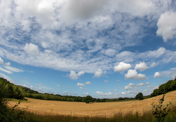 Fototapeta na wymiar beautiful blue sky with wispy clouds over a field of crops taken with a fisheye lens