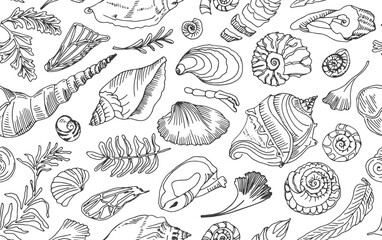 Isolated black line contour seashells and plants Seamless pattern Hand drawn ocean shell or conch mollusk scallop Sea underwater animal fossil Nautical and aquarium, marine theme. Vector illustration