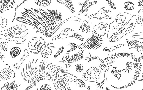 Isolated Black line contour imprints skeletons of prehistoric animals, insects and plants. Seamless pattern realistic hand drawn art. Vector illustration