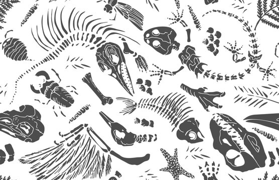Isolated black stencil imprints skeletons of prehistoric animals, insects and plants on white background. Seamless pattern realistic hand drawn art. Vector illustration