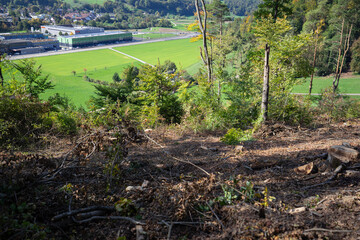 Bubendorf is a political municipality in the Liestal district of the canton of Basel-Landschaft in Switzerland. Wasserfallen, arboldswil, höstein,allschwil,binningen,therwil,ettingen,birsfelden,kaiser