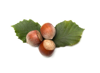 Hazelnuts with green leaves isolated on white background, top view