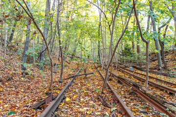 Abandoned Autumn Railway