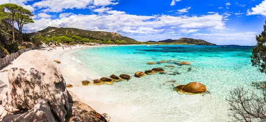 Fototapete Palombaggia Strand, Korsika Die besten Strände der Insel Korsika - wunderschönes malerisches Tamaricciu mit kristallklarem türkisfarbenem Wasser. tropische Meereslandschaft