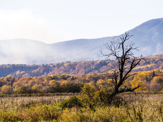 autumn in the mountains