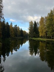 autumn trees reflection on the surface of the pond in the park, golden fall