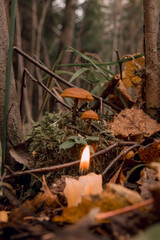burning candle, a symbol of the moon, toadstools on green moss on a dark natural background. pagan wiccan, slavic traditions. Witchcraft, esoteric spiritual ritual